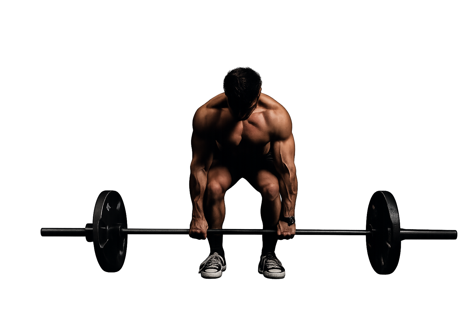 Fitness Model Color